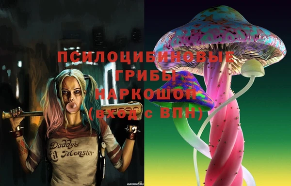 стафф Богданович